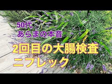 2回目の大腸検査・ニフレック