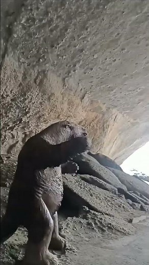 Cueva del Milodón, Patagonia, Chile