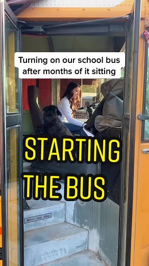 School Bus Maintenance Routine: Keeping Our Bus Baby Alive!