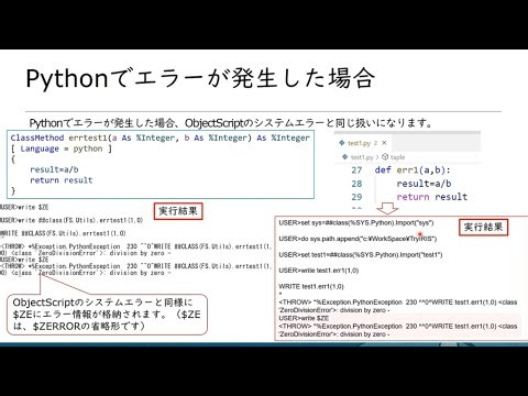 16-IRISでPythonを使ってみよう-エラー処理概要