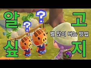 모여봐요 동물의 숲 무주식 성공하는 법 벨 많이 버는 방법 동숲 돈 벌기 How to make a lot of money in Animal Crossing: New Horizons