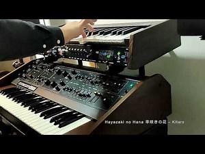 Hayazaki no Hana 早咲きの花～End Titleエンド ・タイトル／Kitaro 喜多郎 COVER