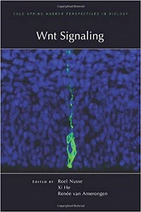 神経新生Wntシグナル伝達に作用する33の調節因子
