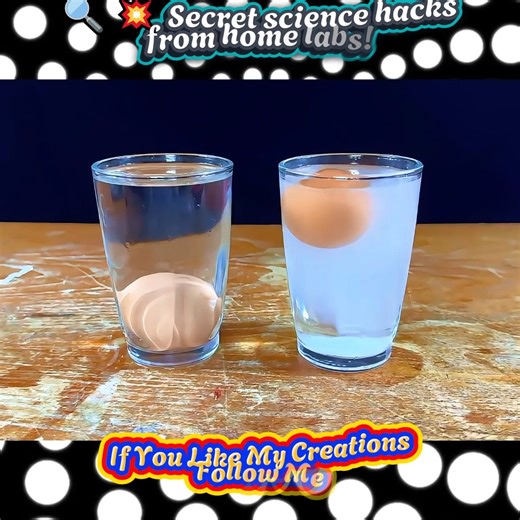 🔍💥 Secret science hacks from home labs! #LifeHackWorld #DailyTricks #ReelsVideo #USAReels #TrendingFeed | Next Level Hacks