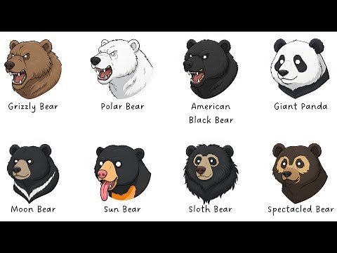Every Type of Bear Explained in 9 Minutes