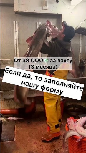 Вахта на 3 месяца‼️ #крабы🦀 #работа #норвегия #судно #жизньнаморе