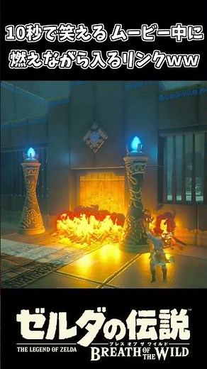 【ブレワイ】祠のムービー中に入ってく厄災リンクｗｗ【ゼルダの伝説ブレス オブ ザ ワイルド】