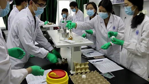 BSL-2实验室中流感病毒分离鉴定虚拟仿真实验