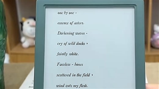 【电子书阅读器推荐】掌阅iReader Neo3长续航版6英寸电子书智能阅读器AI墨水屏电纸书看书学习漫画平板电脑语绿