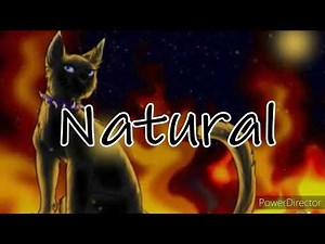 Geißel - Edit | Warrior Cats Feuerstern