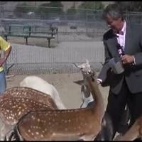 New Life at Sierra Safari Zoo
