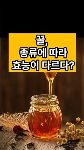 꿀 종류별 효능 | 아카시아꿀 | 밤꿀 | 때죽꿀 | 헛개꿀 | 꿀 올바른 섭취법 #알고먹자 #건강정보 #중장년건강 #영양정보