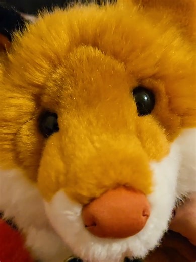 🚫Do NOT ask to buy\\trade🚫 Transformation of Luster fox (retired) by Douglas Cuddle Toys! He needed a couple of hours of work, but it was so, so worth it! He is such a gorgeous boy. I have already found so much comfort in having him with me! #essa #dssa #comfortplush #essaplush #essacommunity douglas cuddle toys, fox plush, fox essa, restoration, plush restoration, plush repair