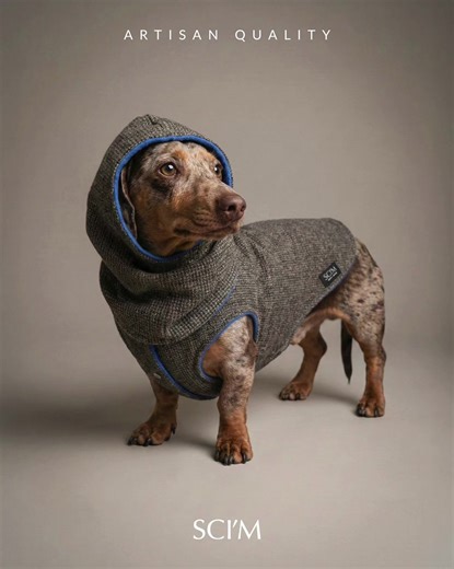 Set coordinato balaclava più cappottino. Avete mai visto nulla di simile? Il vantaggio di un capo artigianale sta proprio qui… nel poter sperimentare soluzioni sempre diverse ed uniche 🤩 In foto il nostro dogmodel TOFFEE #abbigliamentoperbassotti #modacani #bassottista #bassottoconstile #sartoriabrescia