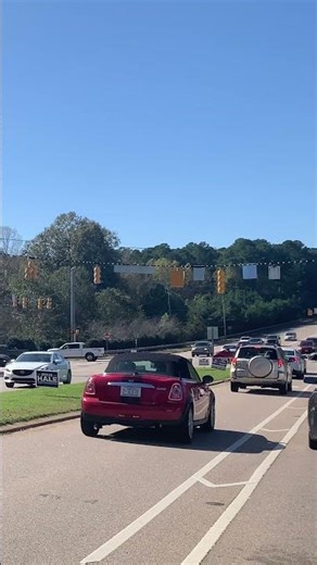 Roadside Political Signs