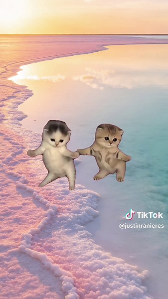 Cute Kitten Dance Edit | Got That Feelin CapCut Template