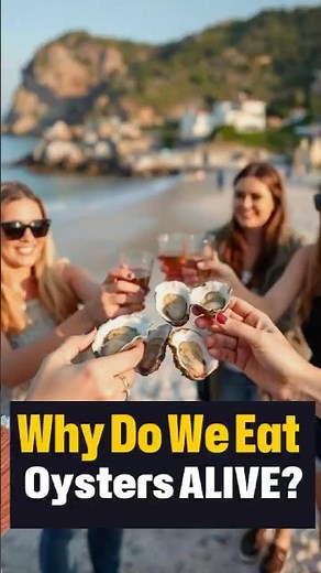 Why Do We Eat Oysters ALIVE?