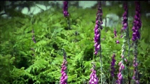 Secrets of the Druids (National Geographic Documentary)