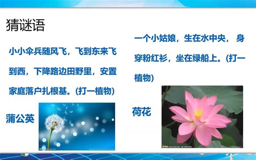 保险ppt：早会经营开心一刻之猜谜语游戏开始了