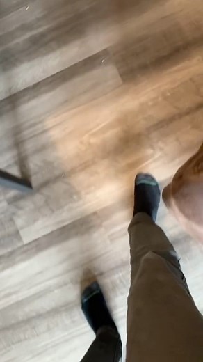 Cheddar Cheese Daily | Day 70 #meme #lol #shitposting #comedy #memes #explore #daily #trending #trendingreels | Instagram