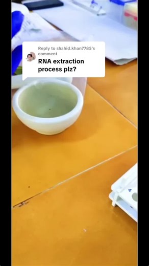 Exploring Molecular Biology Insights with a Scientist