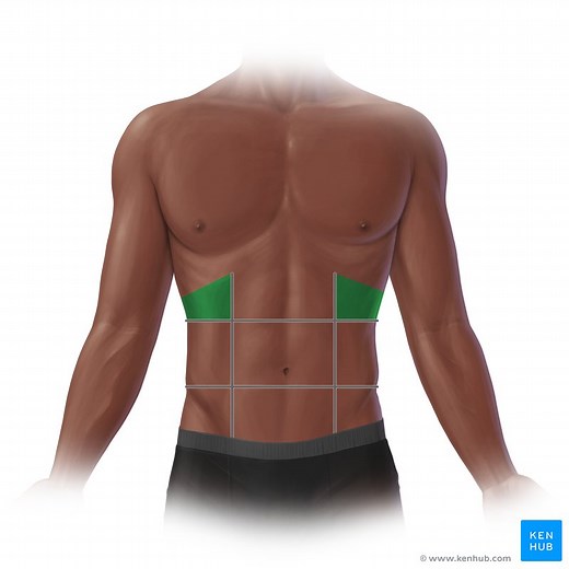 Hypochondriac region