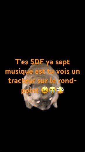 Deso le SDF sur le rond point ses la trend🤣🤣