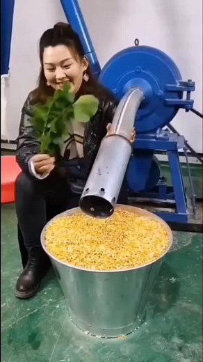 Corn Processing Techniques in Agricultural Settings