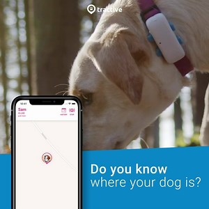 With unlimited range, check your dog's location in real-time from almost anywhere in the world. 🐾 Worldwide location & activity monitoring 🐾 LIVE mode updates every 2-3 seconds 🐾 Get notified if your dog wanders too far 🐾 Uses latest network technology 🐾 100% waterproof and adventure-proof | Tractive