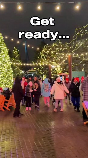 ✨Share this with your friends and family!✨ Every year Canada’s Wonderland turns into a festive wonderland. Lighting up the park with Christmas lights and putting on festive shows. You can also enjoy some rides, lots of food and drinks and Santa! Some activities like cookie decorating and ice skating cost extra Runs from November 15 - January 3 Tickets are $32 although last year a Groupon came out so keep an eye out for it again this year It’s such a fun way to get into the Christmas sprit and a 