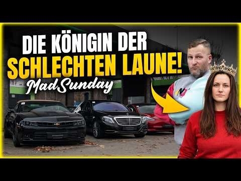 RABATT sonst gibts RÜCKTRITT! Lisa spricht KLARTEXT! UNDANK ist der Weltenlohn! Neues aus Jammerburg