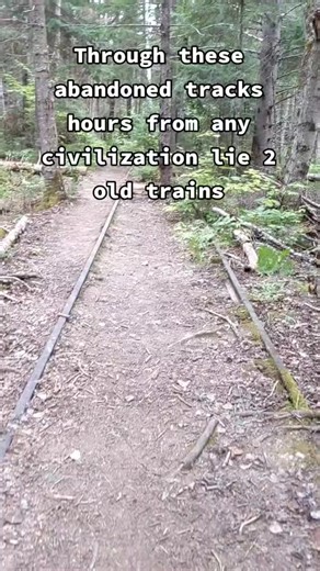 1M views · 17K reactions | We found abandoned trains in the middle of the woods! #reelsfbシ #viralreelsfb #fyp #forest #urbex #reel #viral #scary #trains | ۦۦ ۦۦ ۦۦ ۦۦ | Facebook