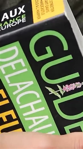 🌿 Comment reconnaître une plante ? Grâce aux guides de botanique ! 📚 Ces outils précieux vous guident pas à pas dans l’identification des plantes sauvages : forme des feuilles, disposition des fleurs... Chaque détail compte ! Et ici, on vous montre comment on a identifié la pâquerette 🌼 🎥 À vos loupes et vos carnets, c’est parti pour l’aventure botanique ! #Botanique #PlantesSauvages #ReconnaissanceDesPlantes #Nature #LeCheminDeLaNature #ApprendreLaNature | Le Chemin de la Nature