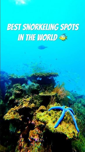 🐠 Best Snorkeling Spots in the World! 🤿 #Snorkeling #TravelShorts #OceanAdventure #Underwater