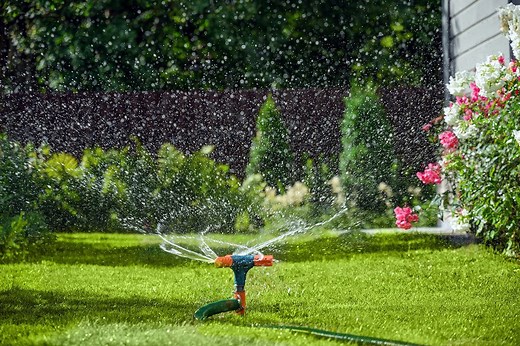 10 Water-Saving Tips for Your Garden and Yard