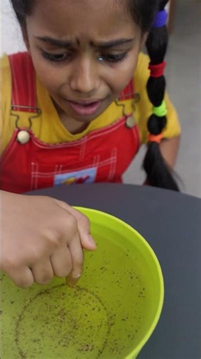 Kids Learn Why Pepper Floats 🌶️💧 | Floating Pepper Experiment ‪@ZippieKidz‬