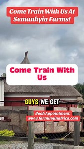 Are you interested in getting hands-on training on how to effectively manage your farm? Our fires are open!! #farminginafrica #semanhyiafarms #livestockfarming #livestockfeed #farmmanagement | Farming In Africa