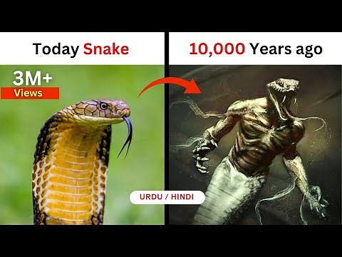 Top 10 dangerous Animals that are now extinct | Info family