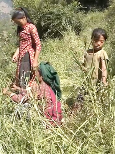 118K views · 603 reactions | Daily cooking in villages rural life.#cooking #villagelife #family #rural #food | Village Lifestyle | Facebook