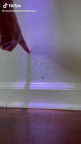 Eeek #termites in drywall. Ever wonder what to look for? Etching and cracking baseboards are a pretty good sign you may have a problem. #charlottenc #charlottepestcontrol #charlottetermitecontrol #citywideexterminatingnc