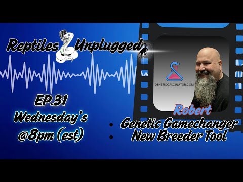Next Gen Reptile Tool | Genetic Calculator Reveal