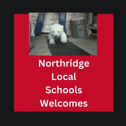 ✏️ 🍎 It's a great day to welcome new staff! 🍎 ✏️ 🎒 Join us in giving a warm Polar Bear welcome to Mrs. Syndra Snelling! 🎒 We're excited to welcome Mrs. Snelling to the 2nd grade team at Northridge Elementary School! She'll be teaming up with a co-teacher to make learning fun, engaging, and full of Polar Bear pride! 📚 📝 ✏️ Ms. Snelling brings a joyful energy to the classroom and is passionate about helping young learners grow with confidence, curiosity, and kindness. We can't wait to see th