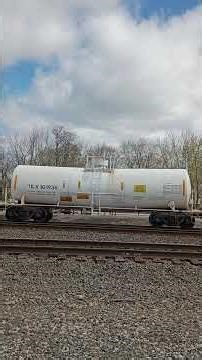 NS Train with a BNSF engine