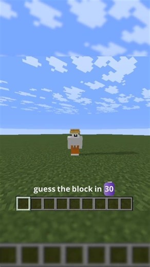 Guess The Minecraft Block in 30 Seconds ⏳