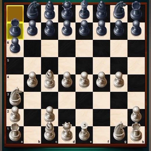 Human vs computer who will win (Chess YT)