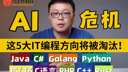 AI危机！这5大IT编程方向即将淘汰（Java/C#/PHP/Python/Go/Rust/C/C  ...）2026入坑程序员机会不多了！（马士兵-码士集团）