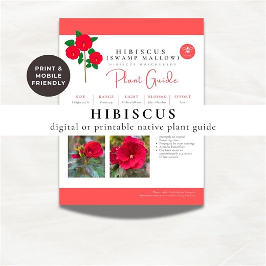 Hibiscus Plant Guide | Native Flower Care Sheet (digital Download) - Etsy UK
