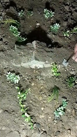 Mini Arch Bridge Path Build with Soil & Flowing Water | NS Mini Wonders