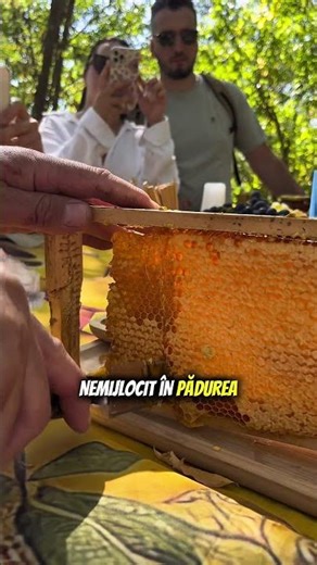 Popas dulce în pădurea de la Molovata, Dubăsari