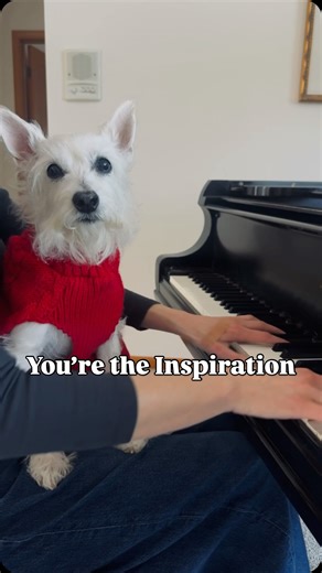 Kara Mehrmann | A Very Bradford Valentine ❤️ You’re the Inspiration 🎵 . . . #valentine #dogsofinstagram #pianocover | Instagram
